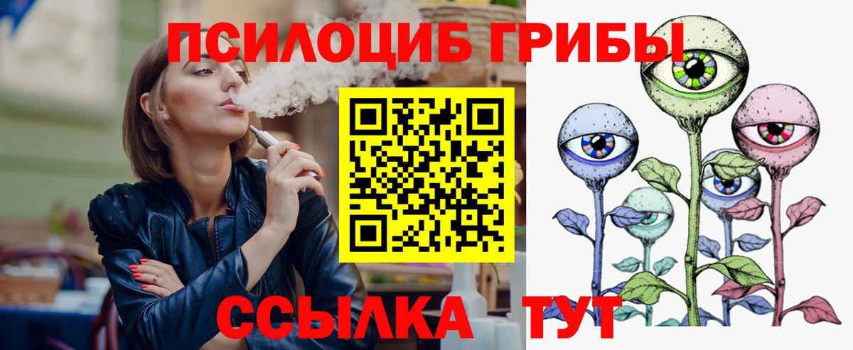 Галлюциногенные грибы Psilocybine cubensis Асино